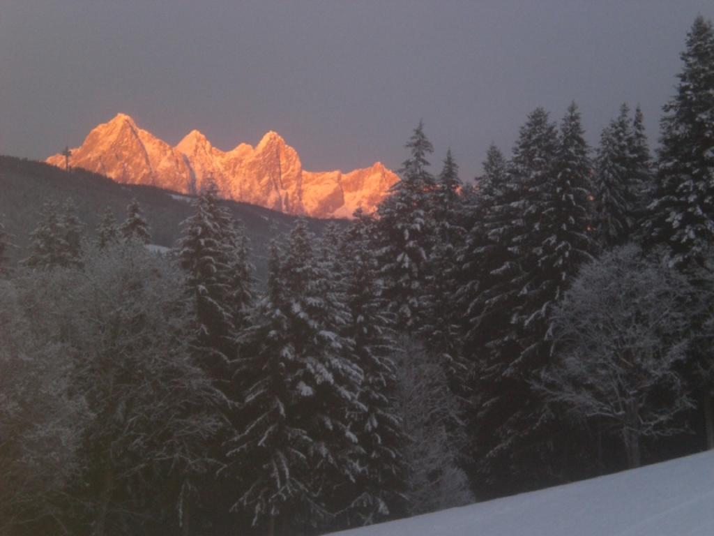 Lochgrubgut Apartment Altenmarkt im Pongau Bagian luar foto